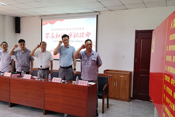 駿達(dá)公司開展慶祝建黨99周年不忘初心 牢記使命主題黨日活動(dòng)